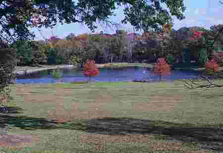 Briant Park Briant Park